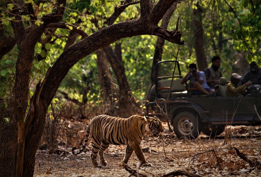 Jim Corbett with Explurger App