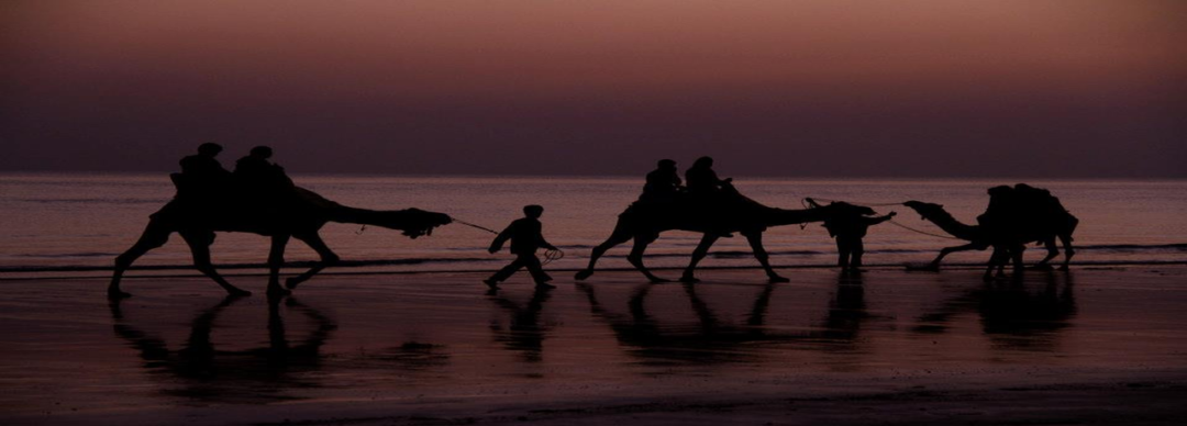 Mandavi Beach Sunset, Pleasant sunset at Mandvi Beach, Rann Utsav