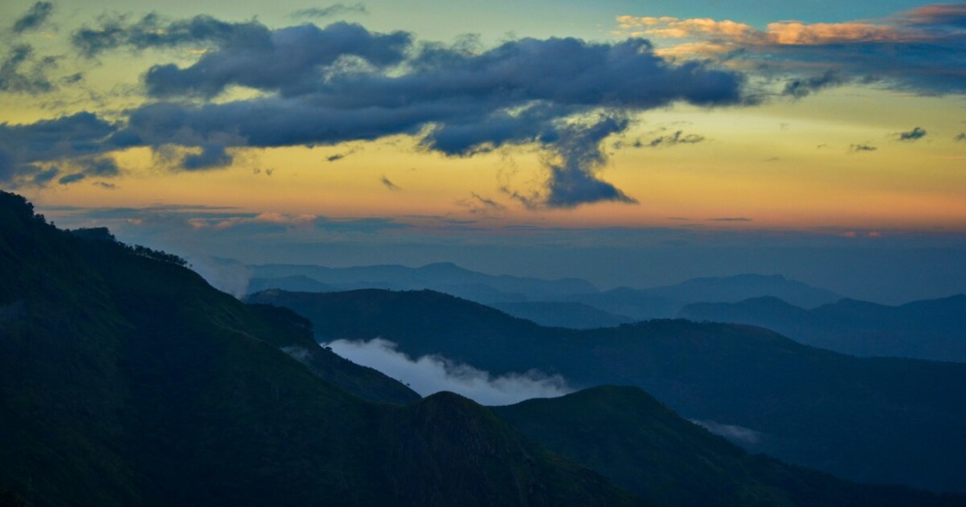 KODAIKANAL AND VATTAKANAL | TAMIL NADU |
