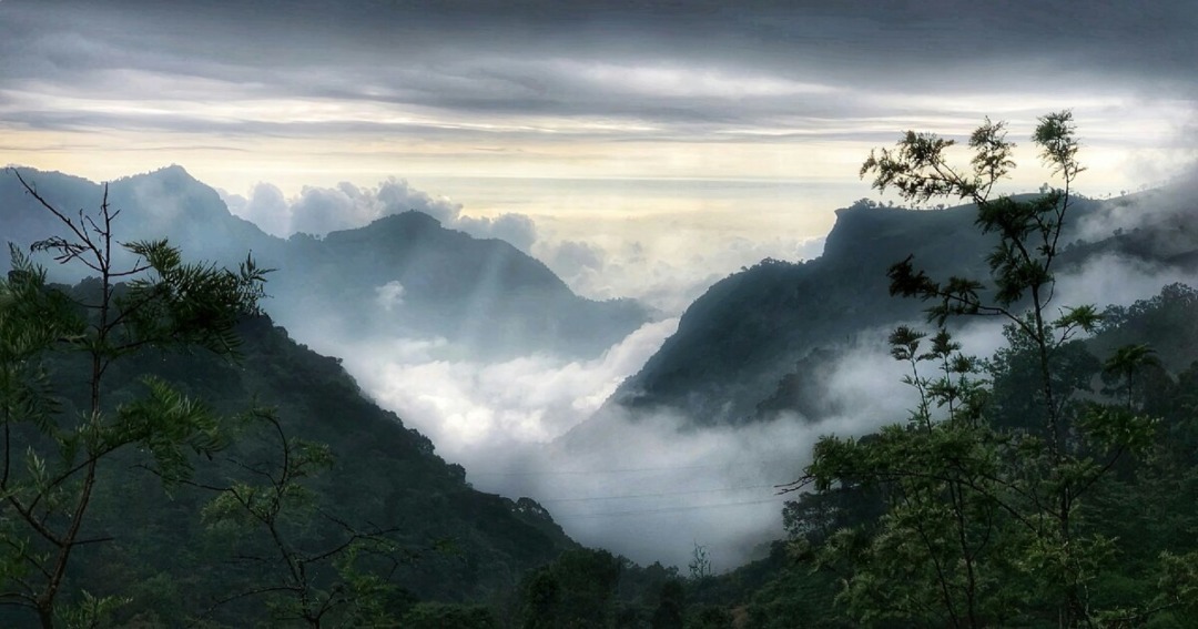 KOTAGIRI BLUE MOUNTAINS | TAMIL NADU|