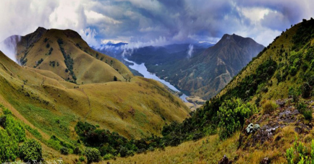 Mukurthi National Park Ooty
