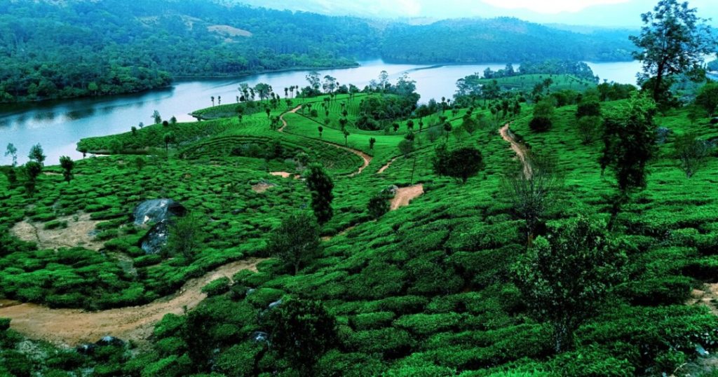 GOD’S OWN COUNTRY: KERALA TOURIST ATTRACTIONS YOU CAN’T MISS IN 2025