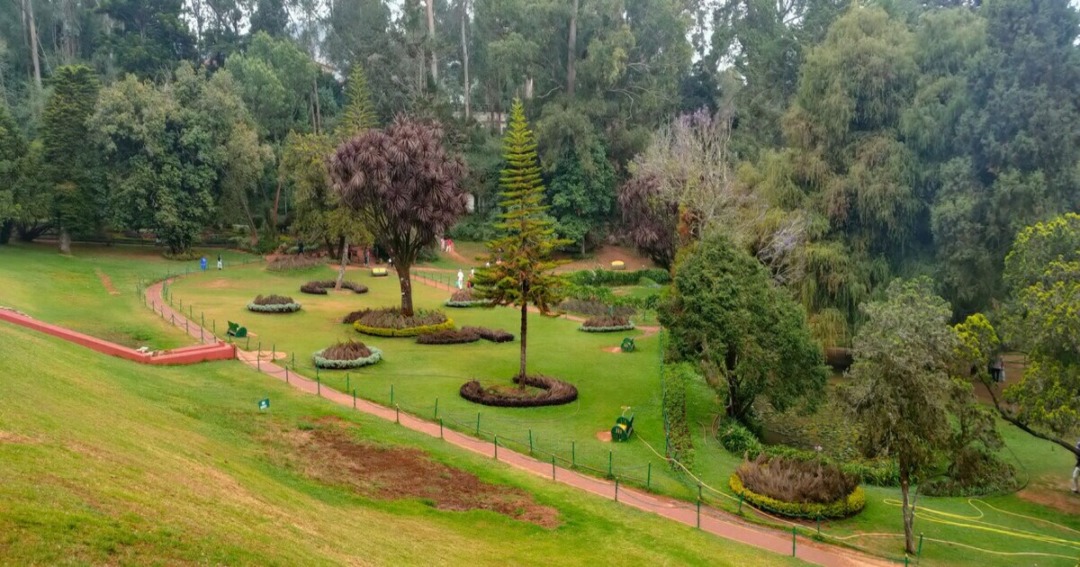 Botanical Gardens, one of the prime Ooty sightseeing spot