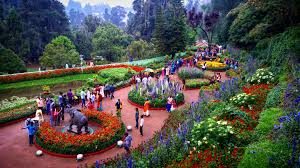 places to visit in ooty, ooty tourist places