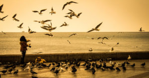 Juhu Beach