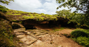 Sanjay Gandhi National Park &  Kanheri Caves