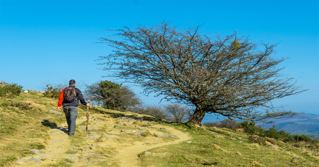 Trek to Monkey Point