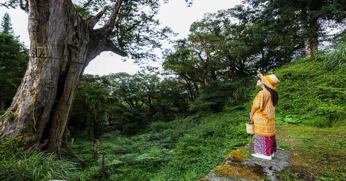 Places to visit in sikkim