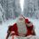 BUCKET LIST CHALLENGE: ROVANIEMI, THE ARCTIC SANTA CLAUSE VILLAGE