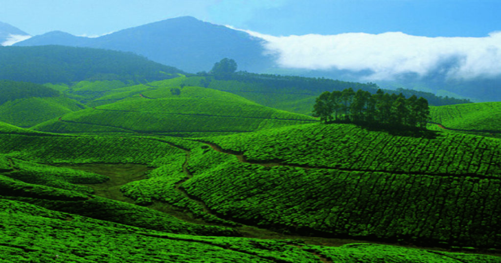 tourist places in Munnar