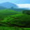 Top 10 Tourist Places in Munnar, Kerala for 2025