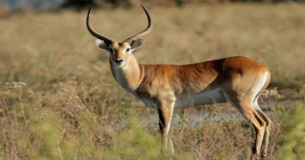 Papikonda National Park, Andhra Pradesh