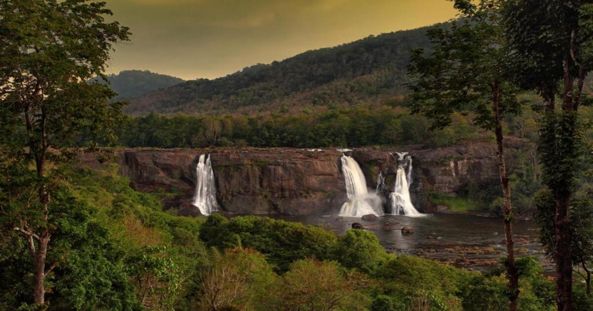 Rainforest, Athirapally