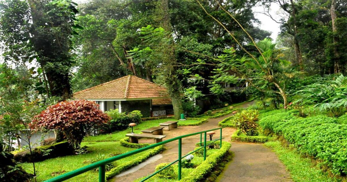 Tall Trees, Munnar, Kerala