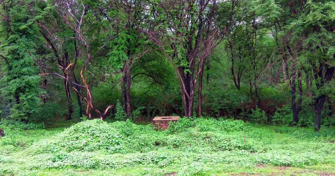 Abujhmad, Chhattisgarh
