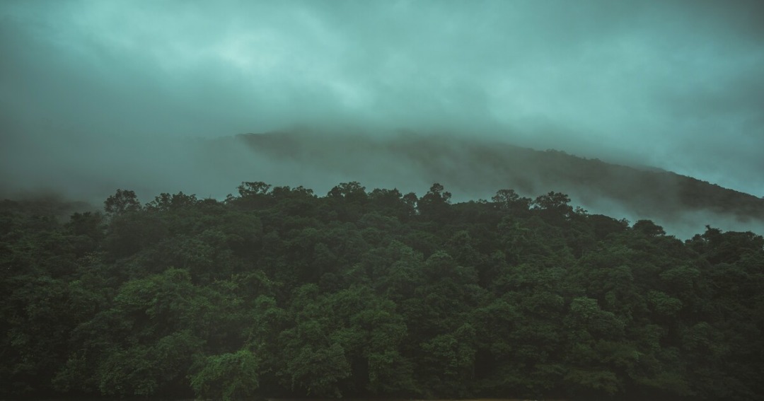South India in May