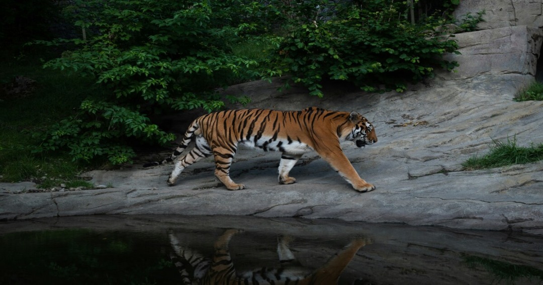 best places to visit in May in India