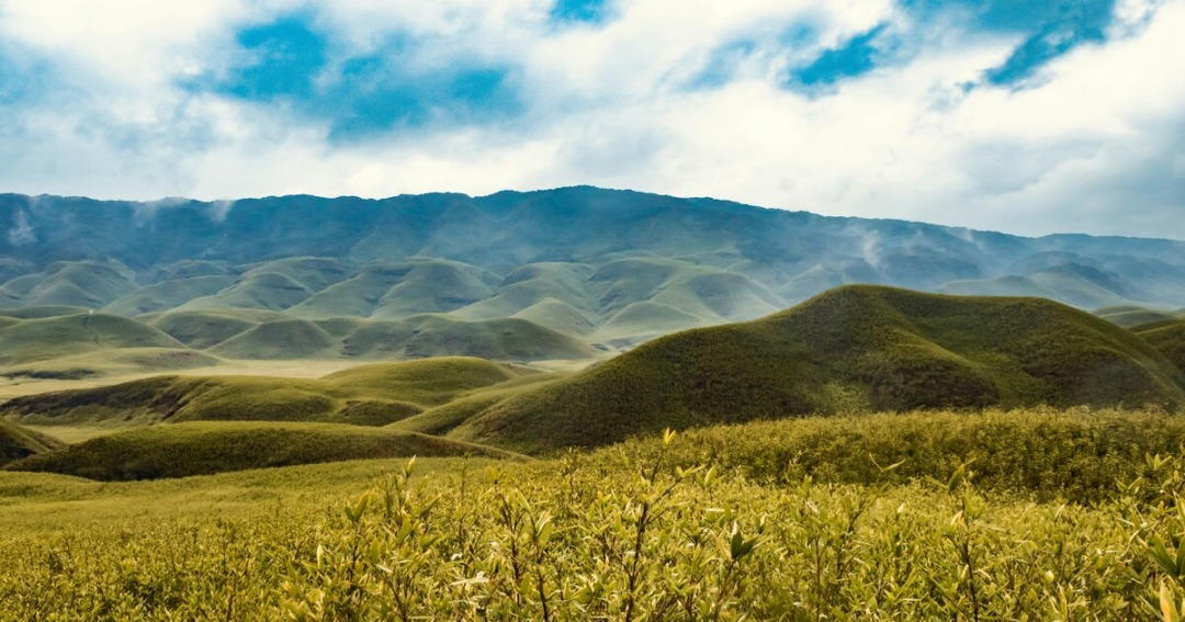 Dzükou Valley, Dzükou Valley Road, Viswema, Nagaland