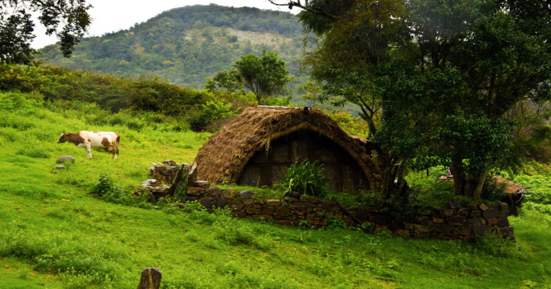 Toda, Tamil Nadu