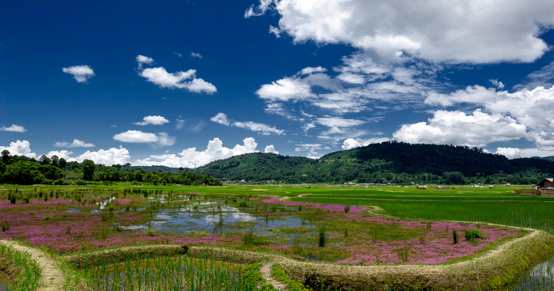 Ziro Valley, Arunachal Pradesh