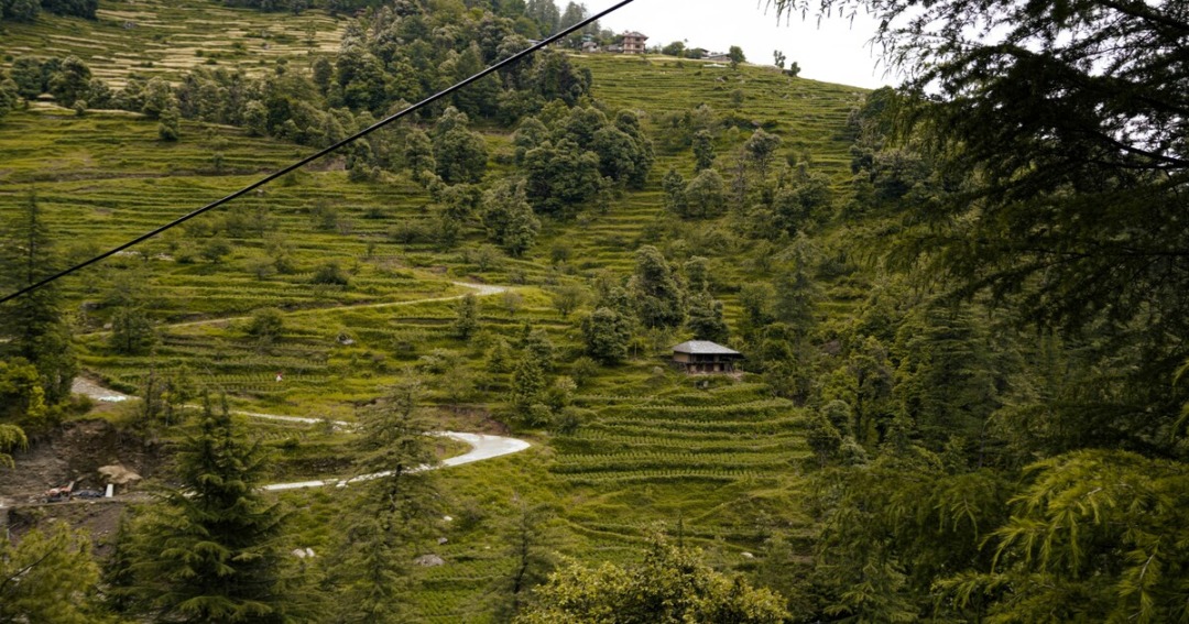 Barot Places to visit in Himachal Pradesh