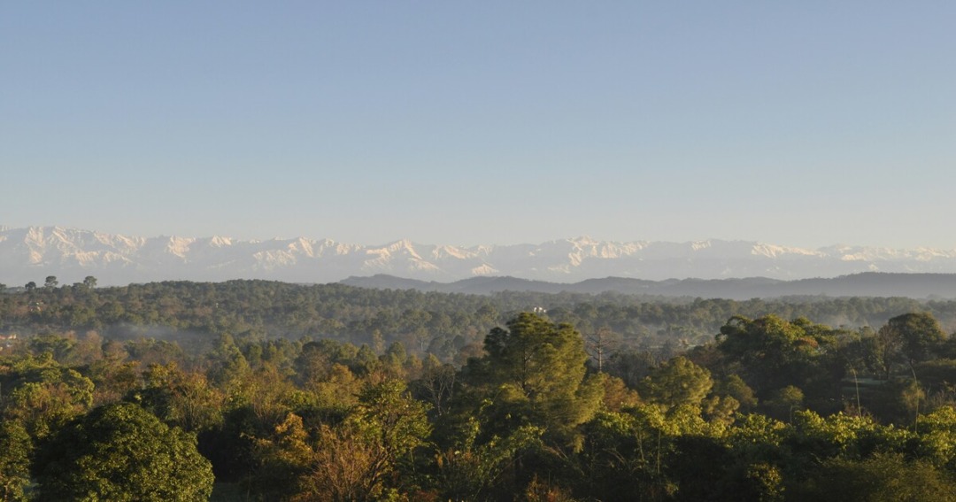 narghota places to visit in Himachal Pradesh