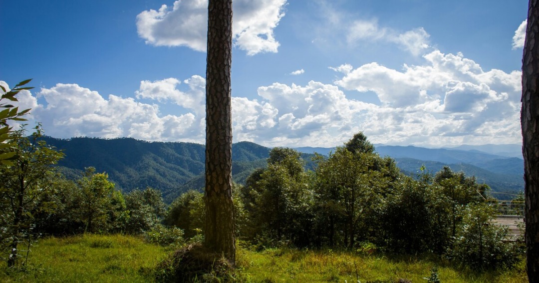 Binsar, uttarakhand