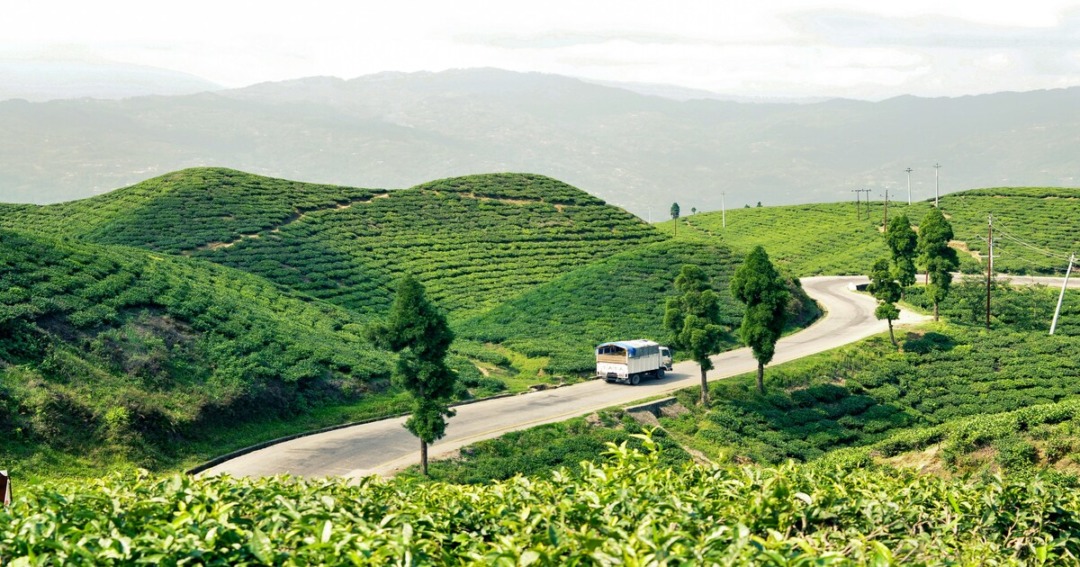 Ilam places to visit in Nepal