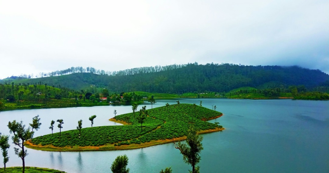 Valparai in monsoon
