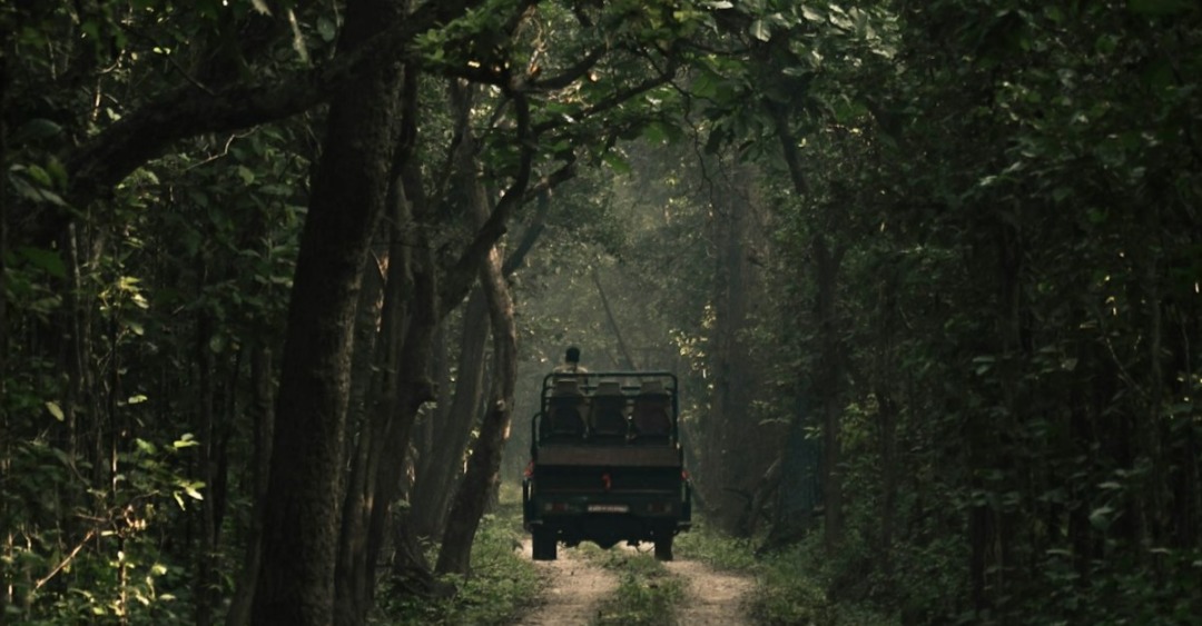 Bardia National Park