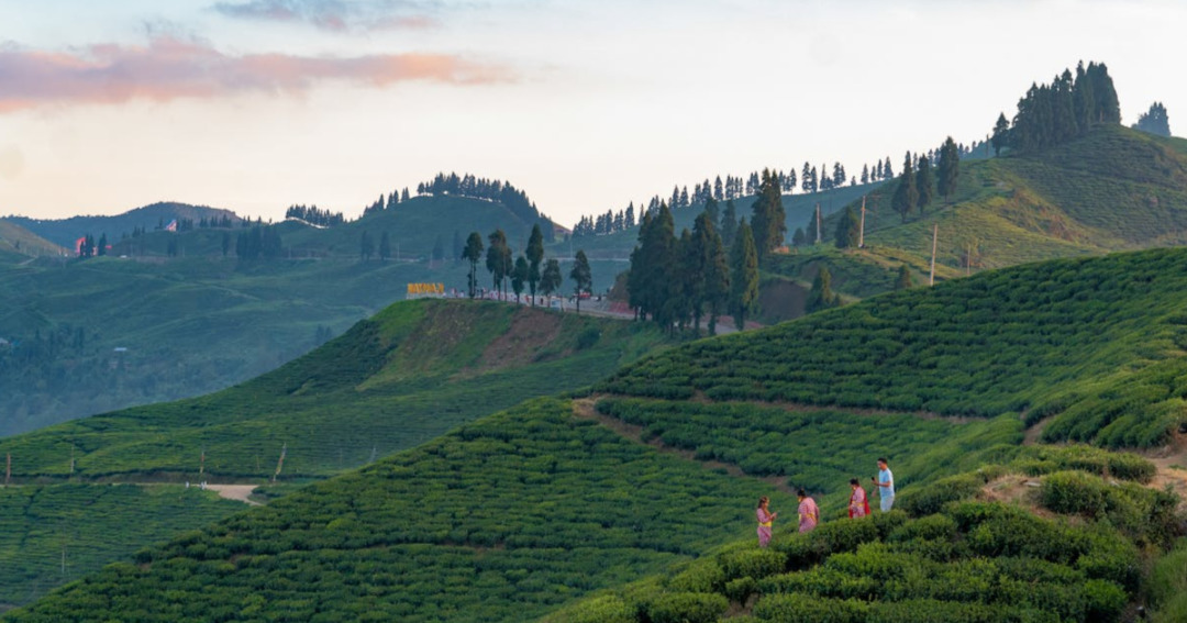 Ilam Nepal
