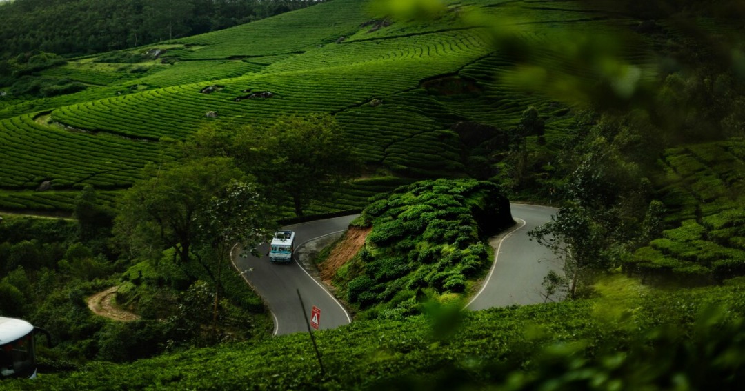 wayanad in monsoon