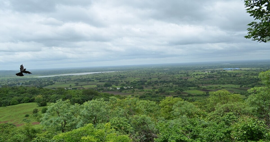 Ananthagiri Hills, Telangana (Near Hyderabad)