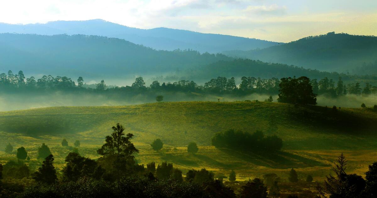 Green Valley View kodaikanal
