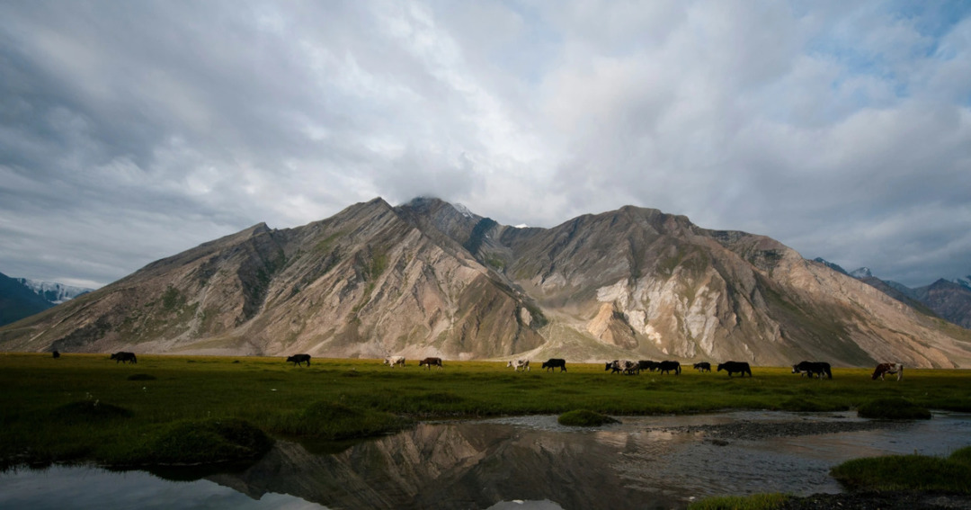 Mushkoh Valley Drass