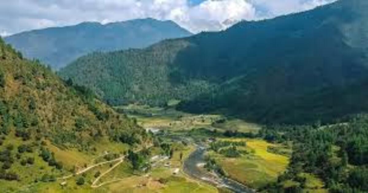 ziro festival 2025