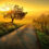 10 Stunning Sunrise Places in India: From Tourist Favorites to Hidden Gems