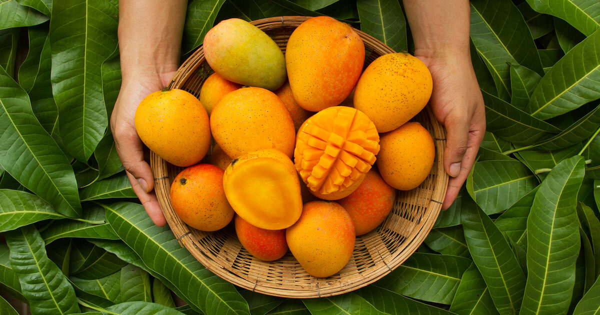 Goa Mankurad Mango (Goa)