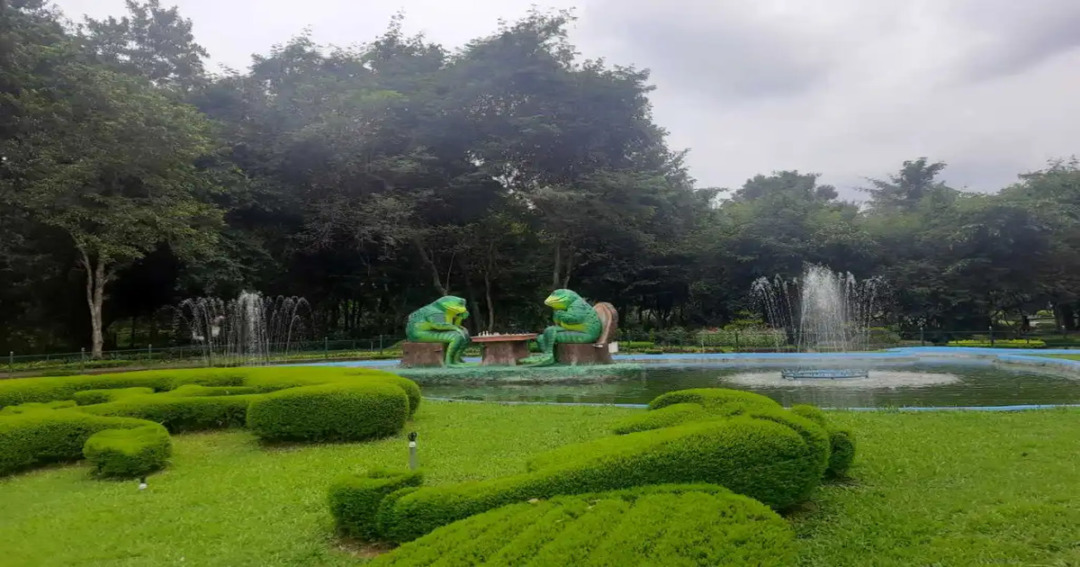 Nilambur Teak (Kerala)
