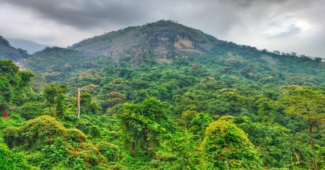 Siruvani Waterfalls & Dam 
