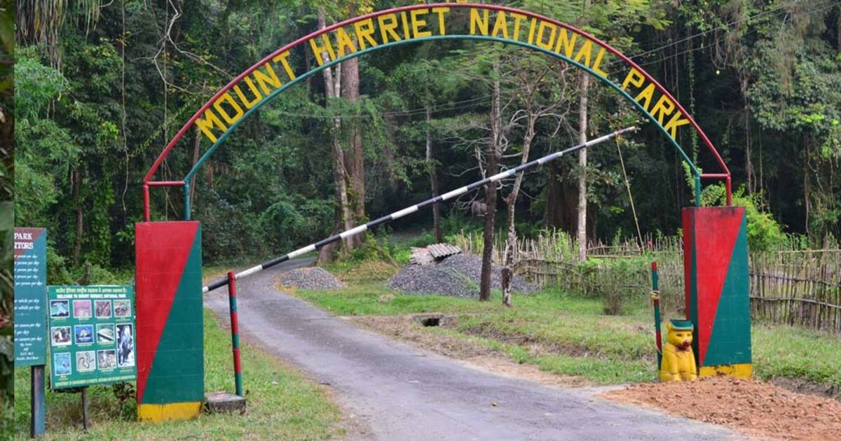 Trek to Mount Harriet National Park