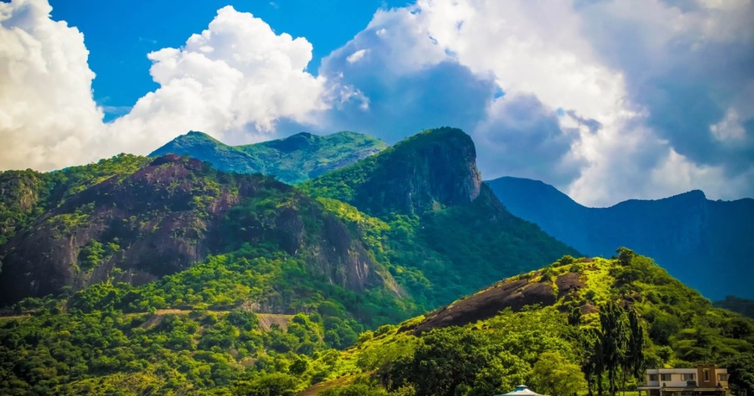 Valparai (Hill Station Day Trip) 
