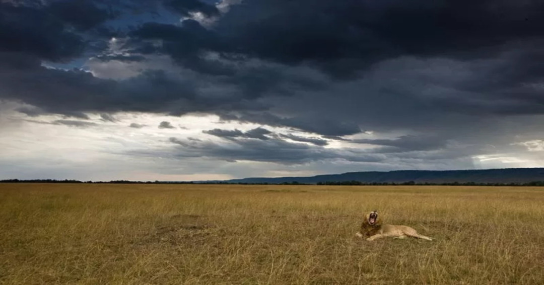 Wet Season Maasai Mara