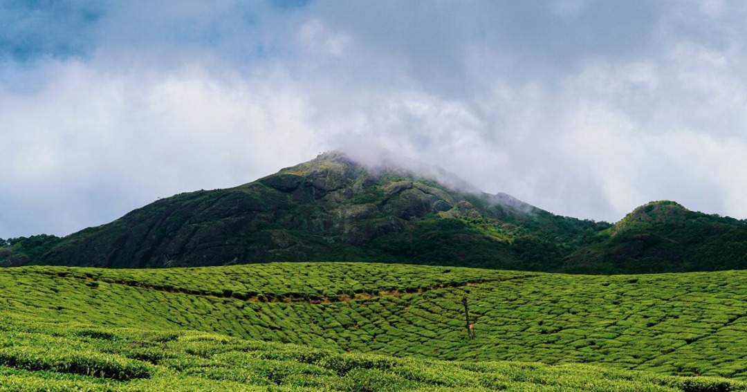 Experiences Not to Miss Hills in Kerala