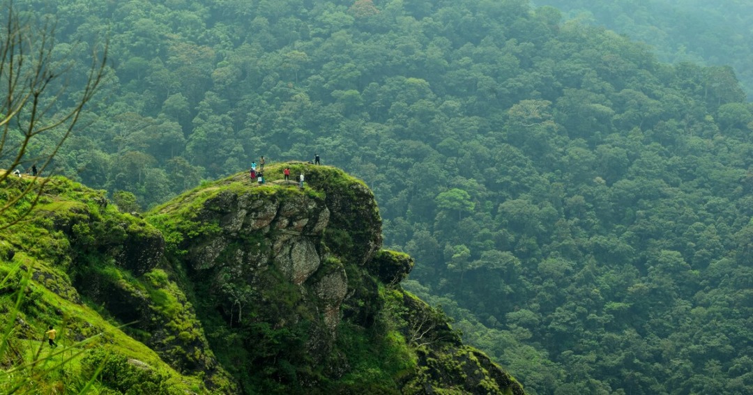Best Time to Visit Idukki