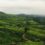 The Cardamom Hills, Kerala- A Hidden Gem in Idukki