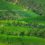 The Cardamom Hills, Kerala- A Hidden Gem in Idukki