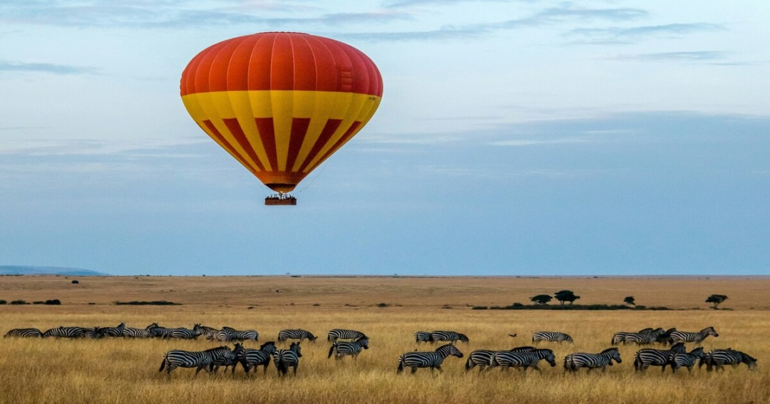 Best Time to Visit Maasai Mara