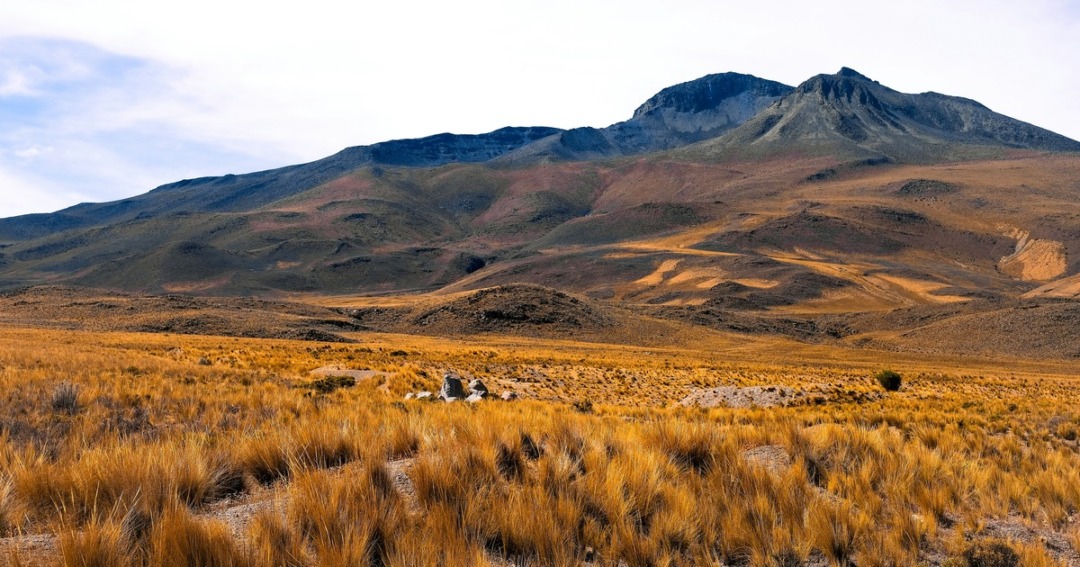 Colchagua Valley, Chile