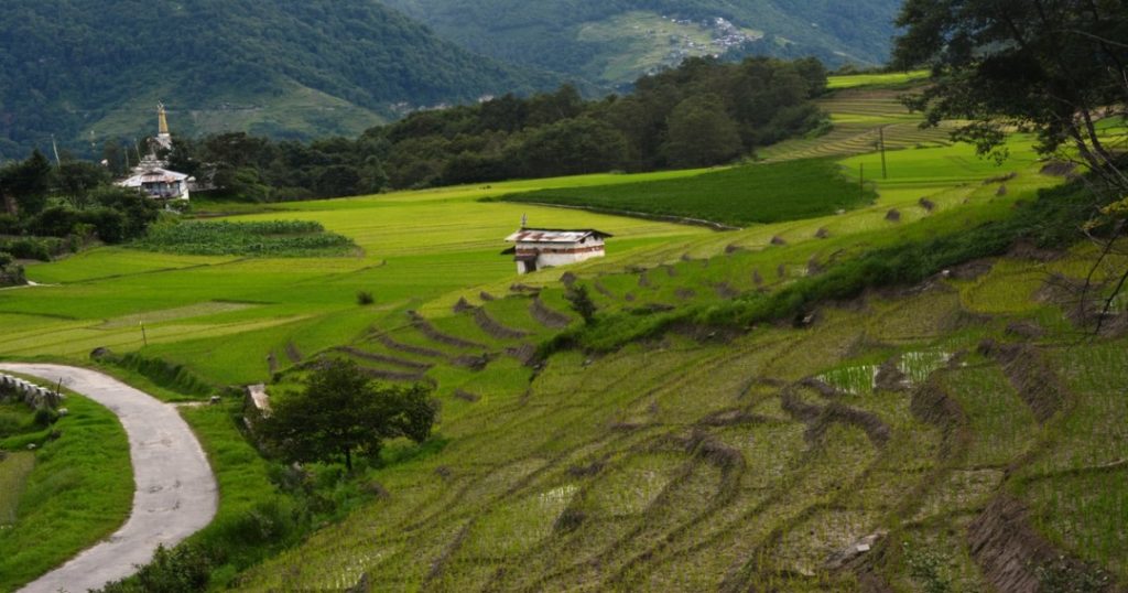 Things to do in Ziro Valley
